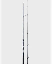 60-100 gr Canna da Spinning shore Jigging in Carbonio 2 Sezioni Anelli Low Rider