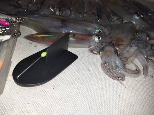 Affondatore ottimo per calamari e traina costiera a dentici e cernie fino ai 35 metri
