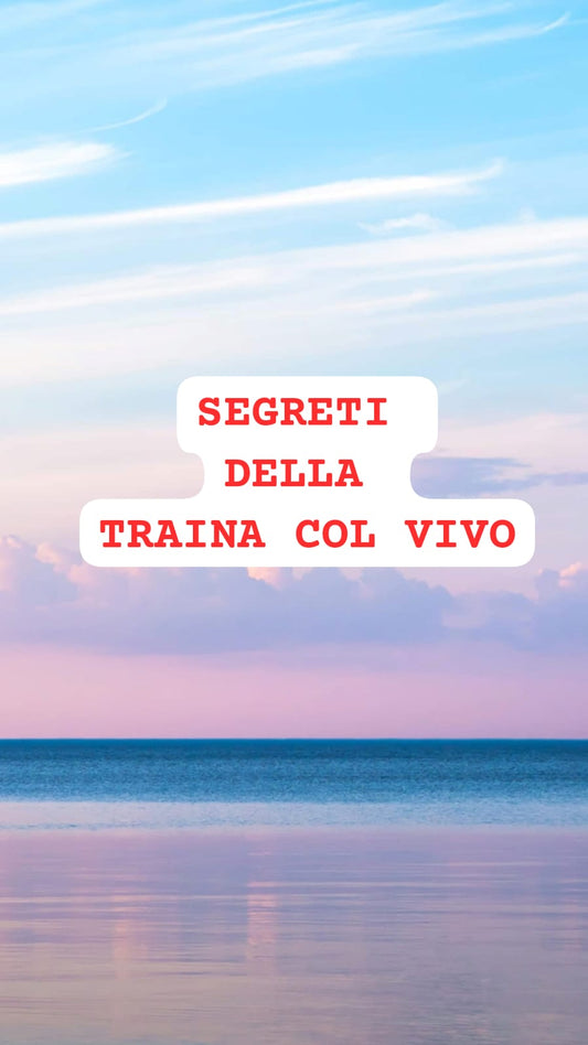 Video descrittivo di tutti i segreti della traina con il vivo